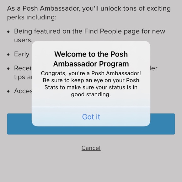 🎖🎖POSH AMBASSADOR ✨✨ - Picture 2 of 5